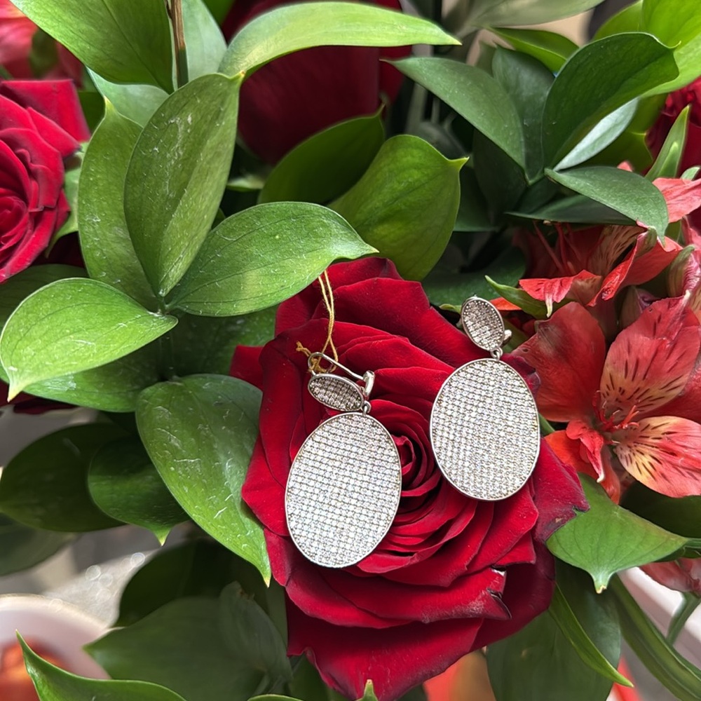 Elegant  Sterling Silver Dangle Earrings